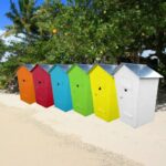 Drôle de Collection (S)